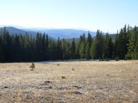 Frosty meadows